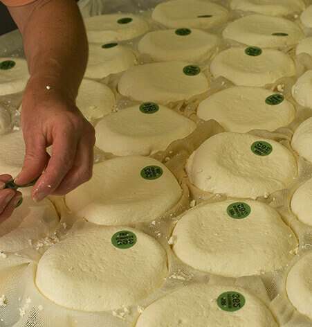 pose de la pastille reblochon