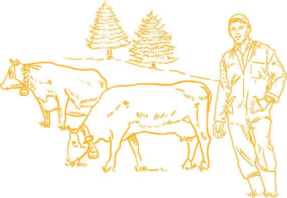 histoire du reblochon fermier