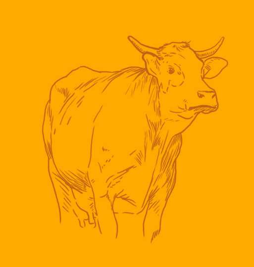 vache abondance savoie
