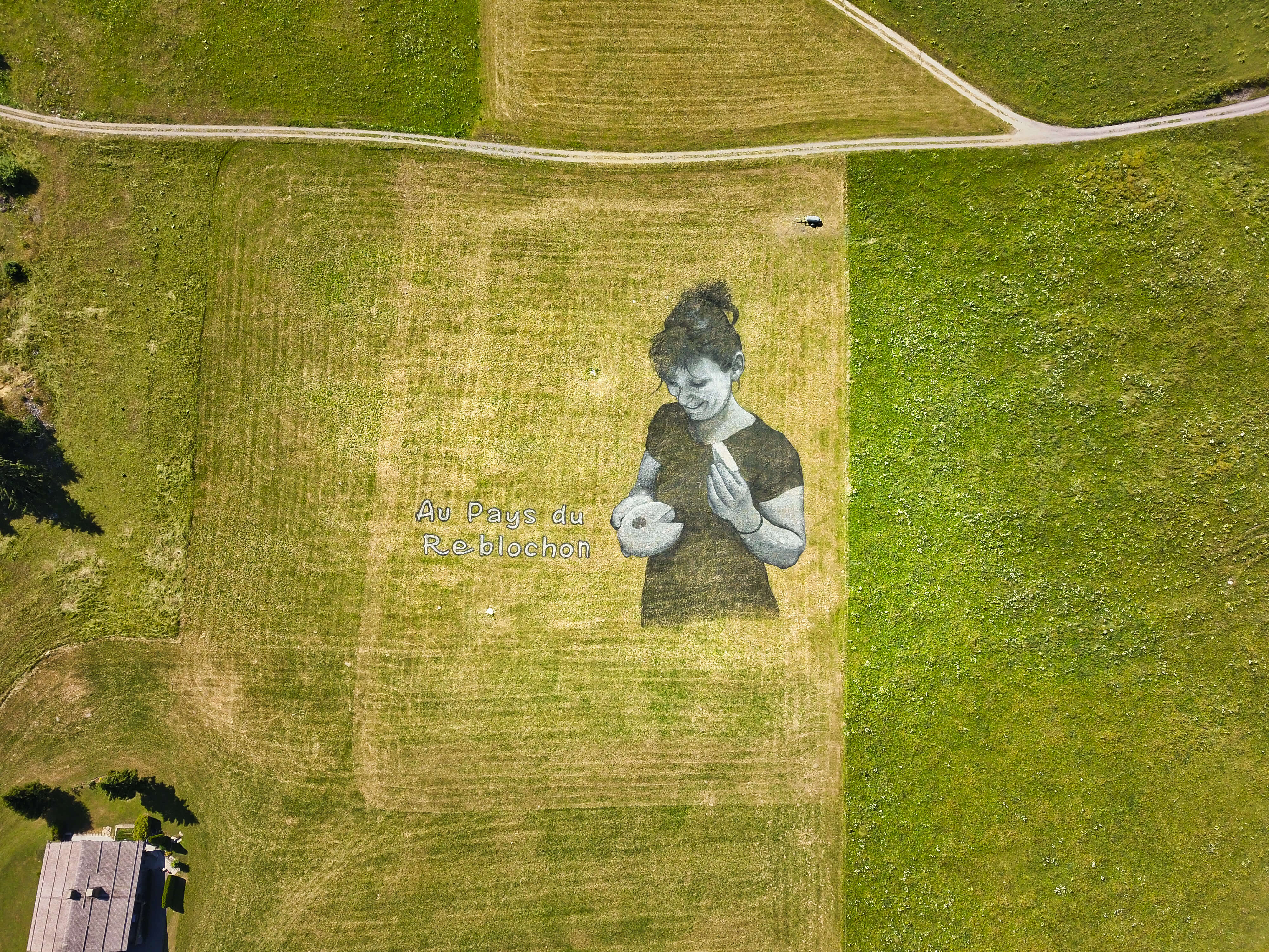 fresque reblochon