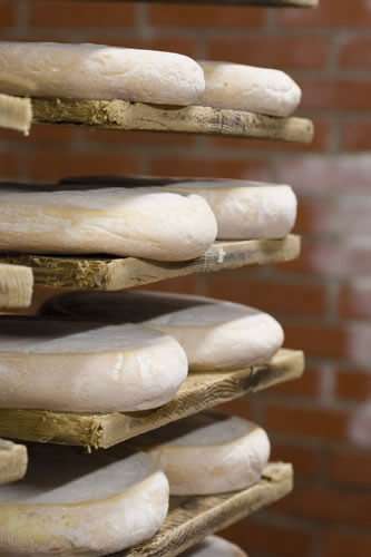 fournée de reblochon